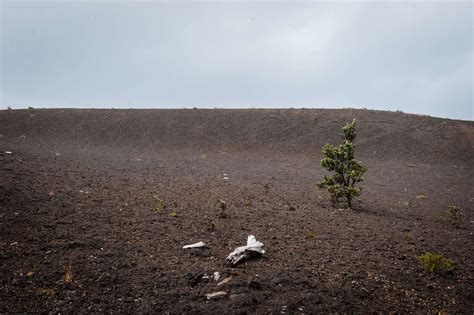 The Best 10 Hikes in Hawai'i Volcanoes National Park