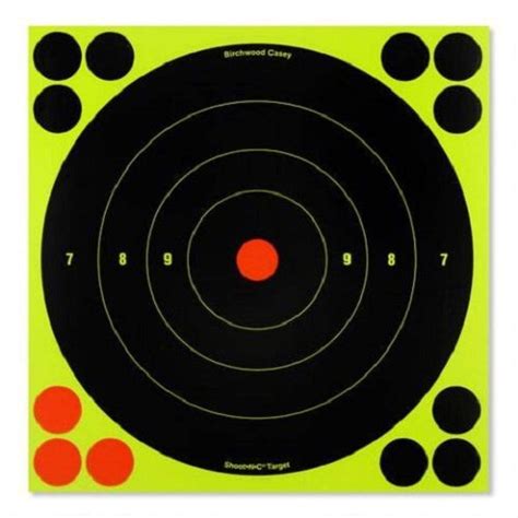 It's All About The Shot, Baby: The 6 Best Shoot N C Targets