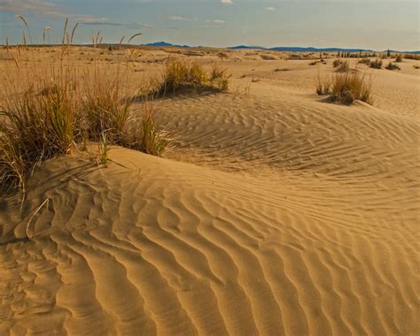 Arctic Desert | Nick Jans