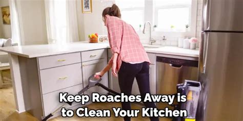 How to Get Rid of Roaches in Kitchen Cabinets | 8 Ways (2024)