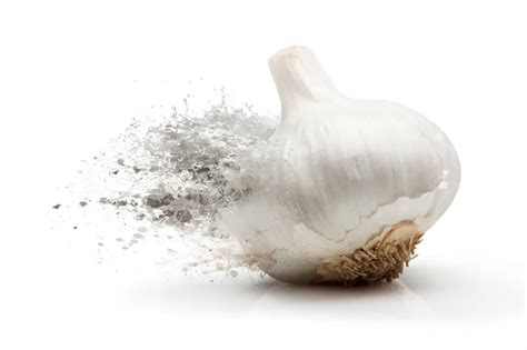 Garlic Spray Recipe - Pest Control Options