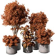indoor Plant Set 401 - Small Plant pot - 3D model