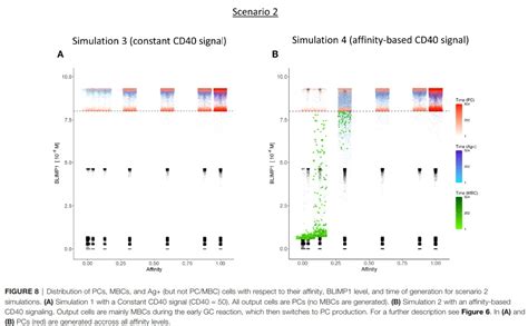 Modelling plasma cell differentation - Bioinformatics Laboratory