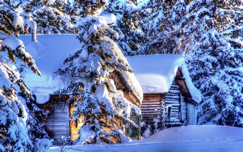 Alaska winter landscape, snow, forest, spruce, huts Wallpaper ...