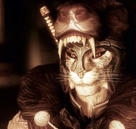 Elder Scrolls: Skyrim, Khajiit | Skyrim fanart, Elder scrolls, Elder scrolls skyrim