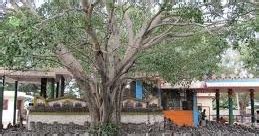 Unique Famous Temples: Vidurashwatha Temple, Gauribidanur.