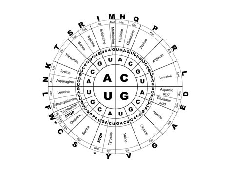 Dna Code Chart