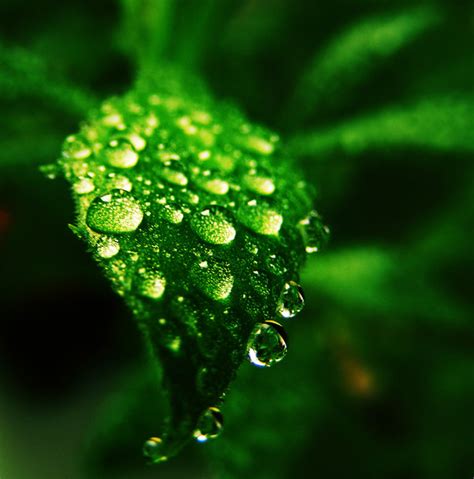 Macro Photography Water Drops17 – Creativeoverflow