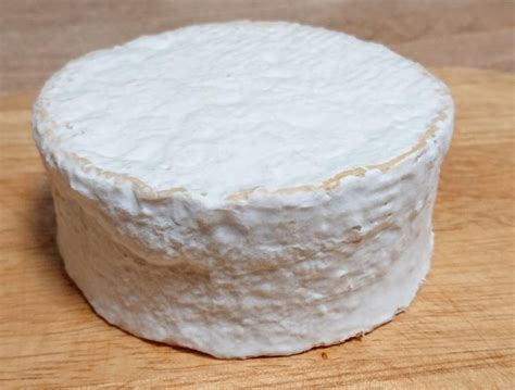 Penicillium Candidum (ABL) by Danisco | Cheese Making Supply