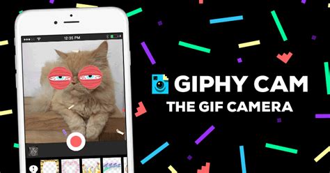 10 Best GIF Maker Apps for Android, iOS & Windows - TechMused