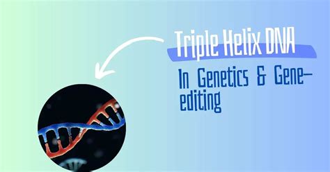 How Triple Helix Can Revolutionize the Field of Genetics? – Genetic ...