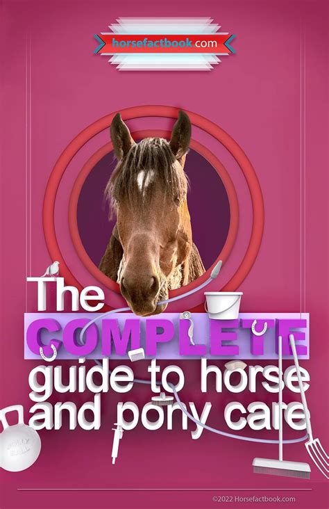 The Complete Guide To Horse And Pony Care: The ideal companion for new ...