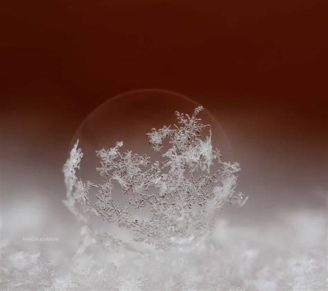 3 Simple Tips For Snowflake Macro Photography