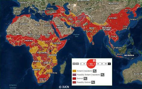 Leopard – International Society for Endangered Cats (ISEC) Canada