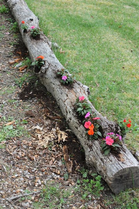 Pin by Marcy Weissman on 나무공예 | Log planter, Tree logs, Planters