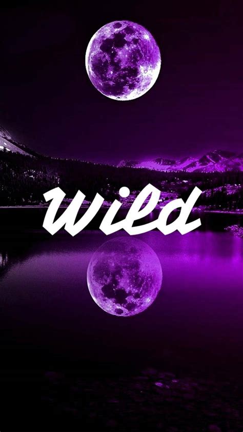 Stay Wild Wallpapers - Top Free Stay Wild Backgrounds - WallpaperAccess