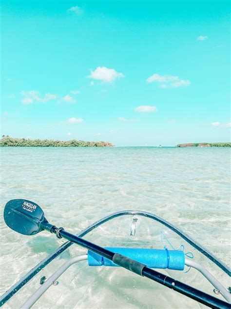 Clear Kayaking to Shell Key Preserve! | Kayaking aesthetic, Kayaking ...