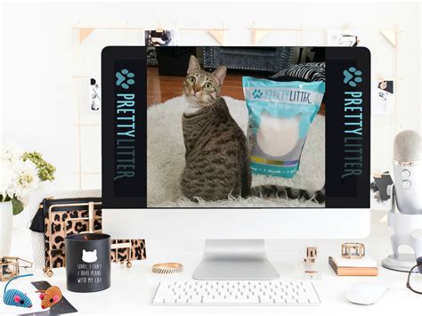 PrettyLitter - Health Monitoring Cat Litter Delivered To Your Door Monthly | Barbie's Beauty Bits