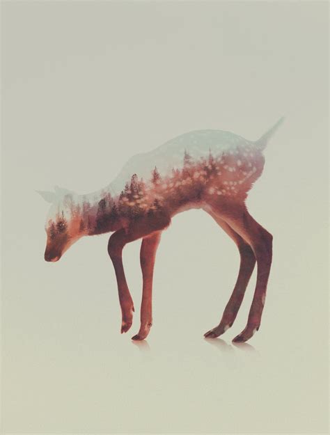 Double Exposure Animal Portraits by Andreas Lie | iGNANT.com