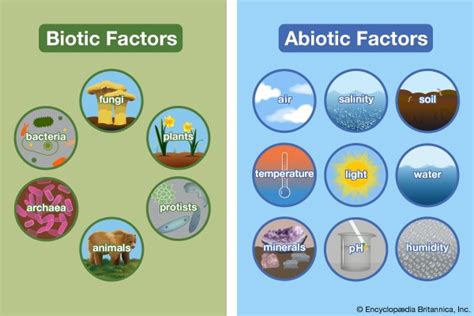 Section 4: Organisms & their Environment | Nitty Gritty Science