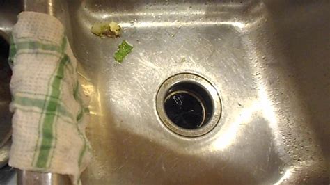 Clogged Double Kitchen Sink Garbage Disposal | Wow Blog