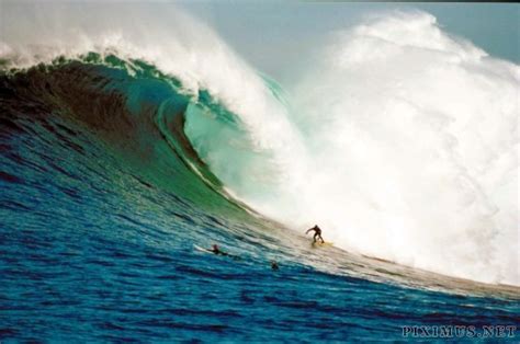 Surfing Giant Waves | Others