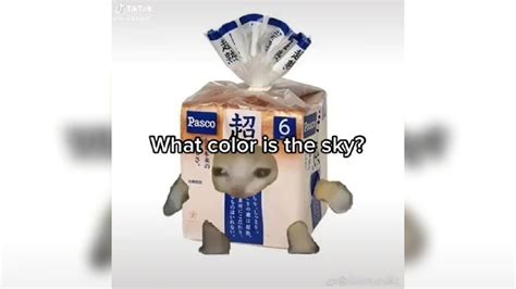 What Color Is The Sky? Ay Mi Amor Cat Meme | Know Your Meme