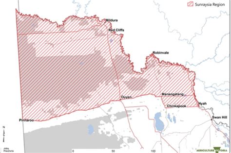 Victoria restricts bee movement into Sunraysia as NSW…