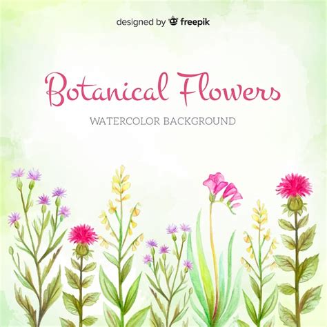 Free Vector | Watercolor botanical background