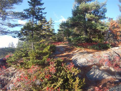 Baker Hill and Long Ledges Preserve - Maine Trail Finder