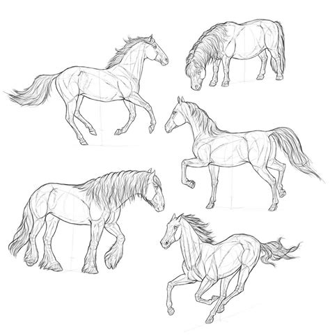 Horse Drawing Reference and Sketches for Artists