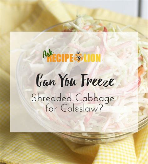 Can You Freeze Shredded Cabbage for Coleslaw? | RecipeLion.com