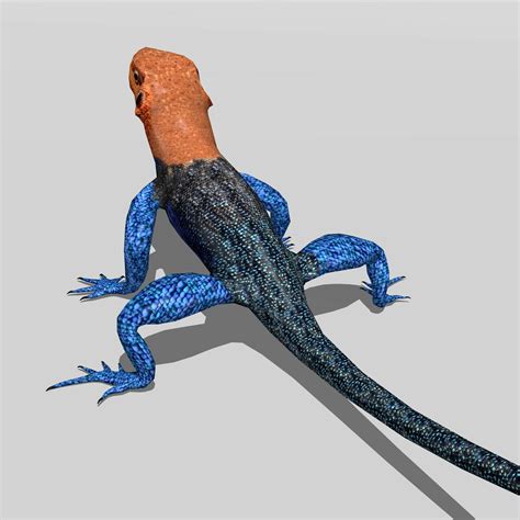 ArtStation - Agama Lizard | Resources