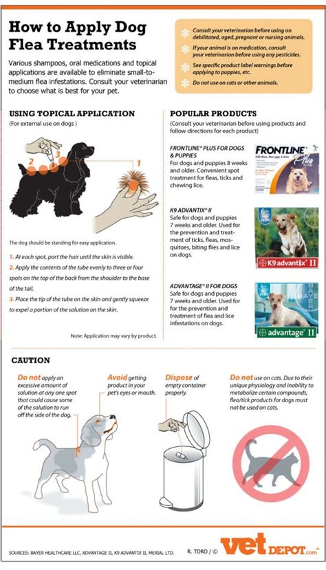 How to Safely and Effectively Apply Dog Flea Treatments Infographic | Healthy, Happy Pets ...