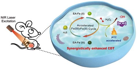 Ellagic acid-Fe@BSA nanoparticles for endogenous H2S accelerated Fe(III)/Fe(II) conversion and ...