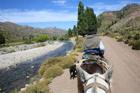 Gaucho Riding Horse beside River in Argentina Stock Photo - Image of ride, gaucho: 51026742