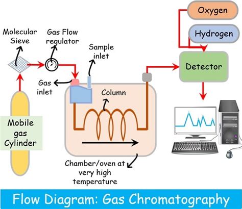 Difference Between Gas and Liquid Chromatography (with Comparison Chart ...