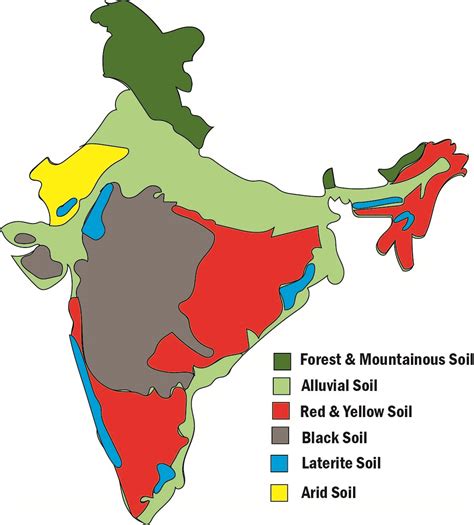 Major Soil Types In India Map Work Cbse Ncert Class 10 Geography ...