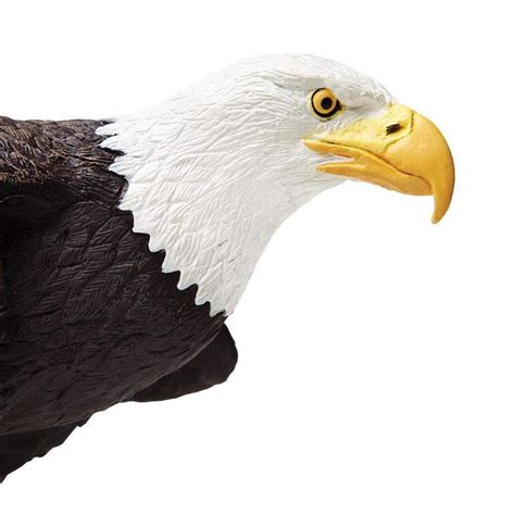 Bald Eagle Toy | Incredible Creatures | Safari Ltd®