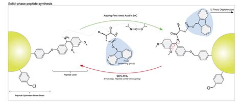 Peptide Synthesis - Peptide Information