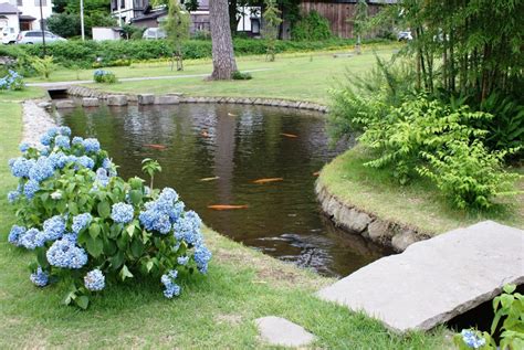 Five Ecological Benefits of Building a Pond