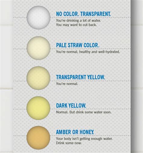 know the colour meaming of your urine today