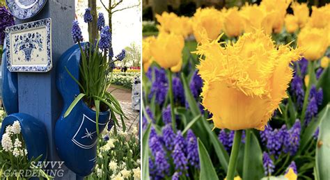 Bulb-planting design tips and inspiration from the Keukenhof gardens