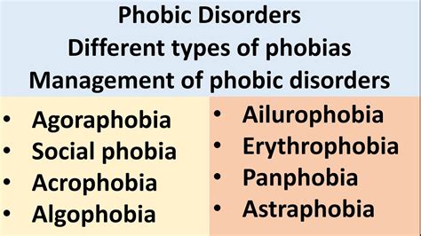 Phobic Disorders Types of Phobias Agoraphobia Social Phobia Specific Phobias Mental Health - YouTube