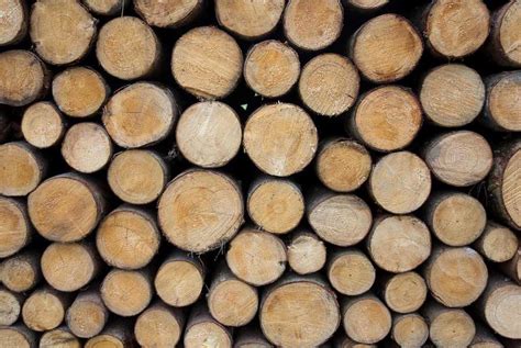 Types Of Firewood – A Simple Guide To Burning The Right Fuel