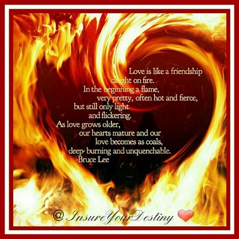 a fire heart with the words love is like a friend in the beginning ...