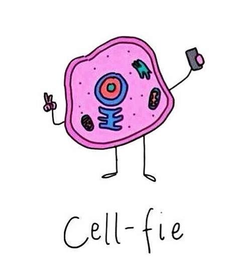 World of Biochemistry (blog about biochemistry): Cartoon about Cell-fies