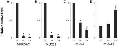 Mucin gene expression level changes in airlift cultures. Realtime PCR ...