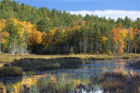 Fall Foliage and Reflections in Plymouth, New Hampshire. Stock Image - Image of seasonal, season ...