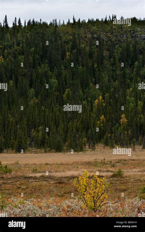 Sarek National Park Stock Photo - Alamy